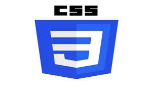 CSS Course and Training Institute in Sangli
